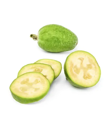 Feijoa-libra