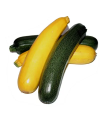 Zucchini – verde y amarillo - libra