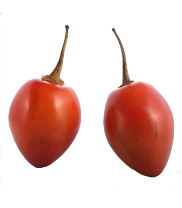 Tomate de Árbol-libra