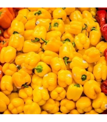 Pimenton Amarillo