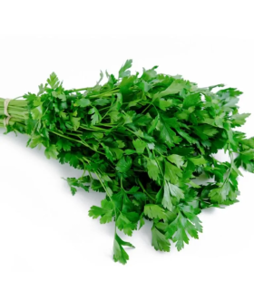 Perejil Liso - manojo