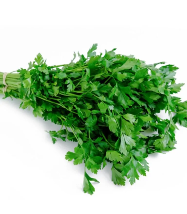 Perejil Liso - manojo