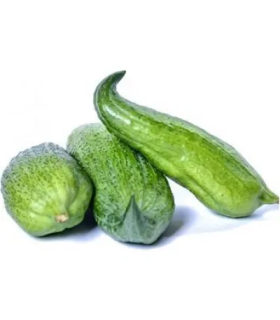 Pepino de Guiso- libra