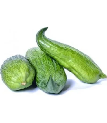 Pepino de Guiso- libra