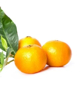 Mandarina Arrayana Segunda - docena