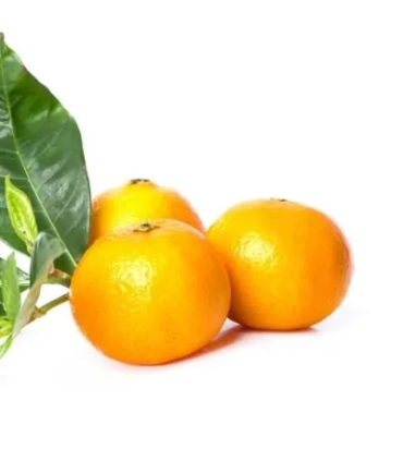 Mandarina Arrayana Segunda - docena