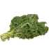 Kale crespo- manojo