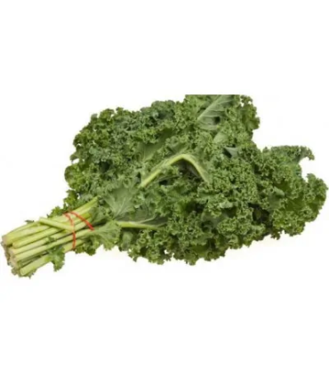 Kale crespo- manojo