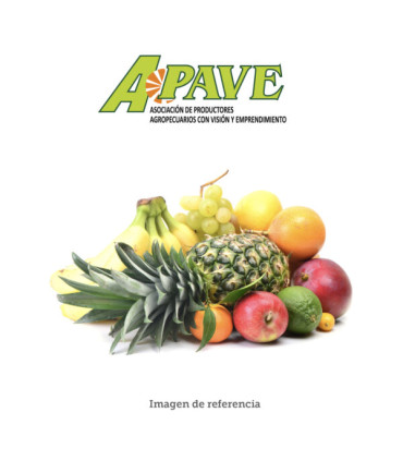 Mix de Regiones – APAVE