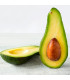 Aguacate Lorena-libra