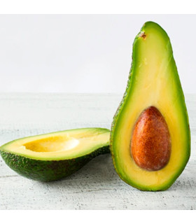 Aguacate Lorena-libra