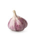 Ajo morado- unidad