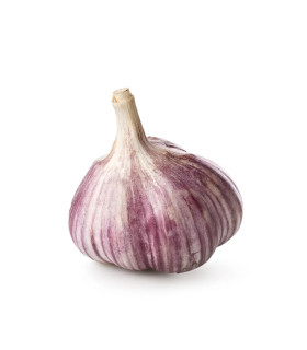 Ajo morado- unidad