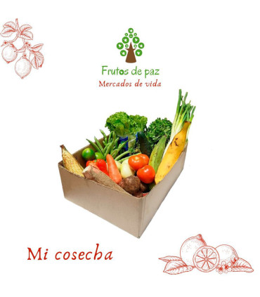 Mi cosecha premium - Frutos de paz